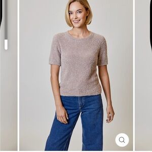 Design History Women's Short Sleeve Sweater - Light Brown NWT